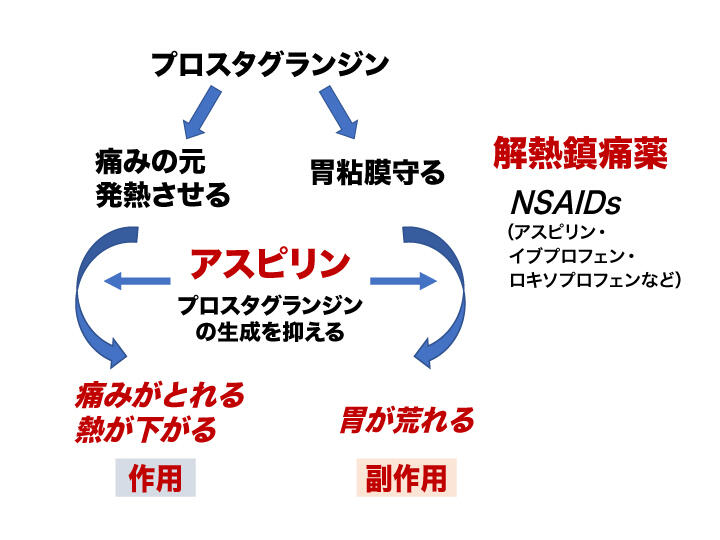 3. 循環と心臓の健康を改善する