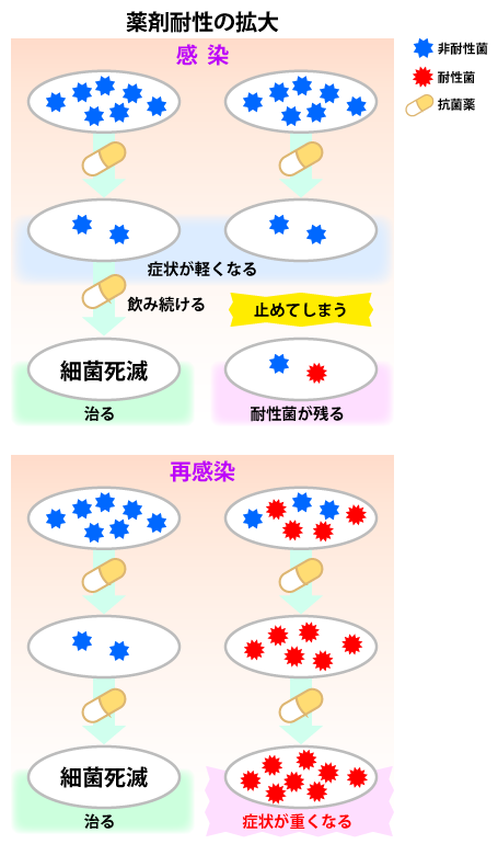 図 薬剤耐性の拡大